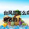 臺風是怎么命名的是誰給命名的（臺風是如何命名的）