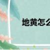 地黃怎么種植（地黃的種植方法）
