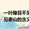 一葉障目不見泰山的意思是什么（一葉障目不見泰山的含義）