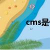 cms是什么（cms是什么意思）