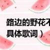 路邊的野花不要采歌詞（路邊的野花不要采的具體歌詞）