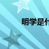 明學是什么梗（明學是什么意思）
