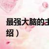 最強大腦的主持人是誰（最強大腦的主持人介紹）