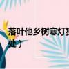 落葉他鄉樹寒燈獨夜人的意思（落葉他鄉樹寒燈獨夜人的出處）
