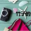 竹子的拼音（竹子的拼音介紹）