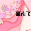 雁南飛歌詞（雁南飛整首歌詞）