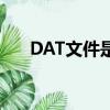 DAT文件是啥意思（DAT文件的簡介）
