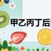 甲乙丙丁后面是什么（甲乙丙丁是什么）