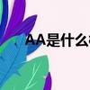 AA是什么梗（網絡語AA是什么意思）