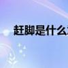 趕腳是什么意思網絡（趕腳的意思介紹）
