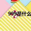 999是什么意思（科普999的6種意思）