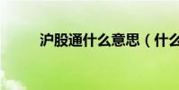 滬股通什么意思(什么是滬股通)