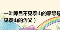 一葉障目不見泰山的意思是什么(一葉障目不見泰山的含義)
