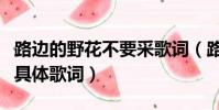 路邊的野花不要采歌詞(路邊的野花不要采的具體歌詞)