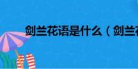 劍蘭花語是什么(劍蘭花語有哪些)