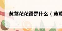 黃鶯花花語是什么(黃鶯花花語是啥)
