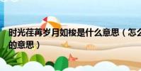 時光荏苒歲月如梭是什么意思(怎么理解時光荏苒歲月如梭的意思)