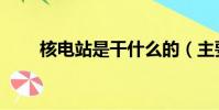 核電站是干什么的(主要用來干嘛)