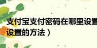 支付寶支付密碼在哪里設置(支付寶支付密碼設置的方法)