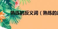 熟練的反義詞(熟練的反義詞意思)