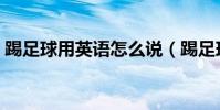 踢足球用英語怎么說(踢足球的英語是什么)