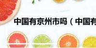 中國有京州市嗎(中國有沒有京州市)