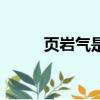 頁巖氣是什么氣（頁巖氣的簡介）