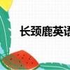 長頸鹿英語怎么讀（長頸鹿英語讀法）