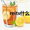 reits什么意思（reits的解釋及讀音）