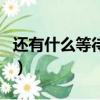 還有什么等待還有什么悲哀什么歌（完整歌詞）