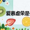 愛慕虛榮是什么意思（愛慕虛榮的意思）