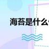 海苔是什么做成的（海苔的種類有哪些）