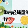 拳擊輕蠅量級是什么意思（拳擊輕蠅量級的解釋）