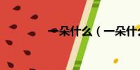 一朵什么(一朵什么填空)