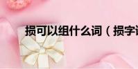 損可以組什么詞(損字讀音及翻譯)
