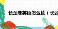 長頸鹿英語怎么讀(長頸鹿英語讀法)