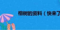 榕樹的資料(快來了解一下)