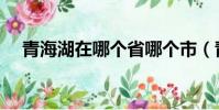 青海湖在哪個省哪個市(青海湖的簡介)