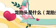 龍抬頭是什么(龍抬頭的簡介)