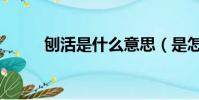 刨活是什么意思(是怎么解釋的)
