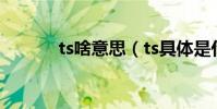 ts啥意思(ts具體是什么意思)