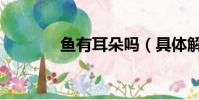 魚有耳朵嗎(具體解釋一下)