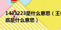 1433223是什么意思(王者榮耀1433223到底是什么意思)