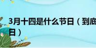 3月十四是什么節日(到底3月14日是什么節日)
