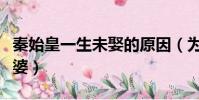 秦始皇一生未娶的原因(為什么秦始皇沒娶老婆)