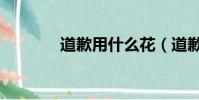 道歉用什么花(道歉送的花)