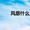 風靡什么意思（詞語風靡什么意思）