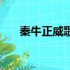 秦牛正威歌詞（秦牛正威歌詞是什么）