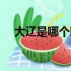 大遼是哪個朝代（大遼是屬于哪個朝代）