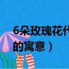 6朵玫瑰花代表什么意思是什么（6朵玫瑰花的寓意）